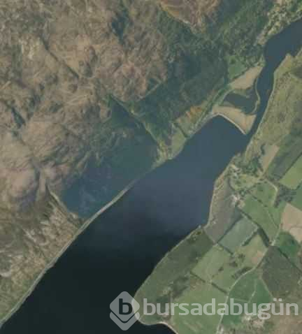 Bilim dünyasını şaşırtan gizemli yaratıkların sırrı ne?

