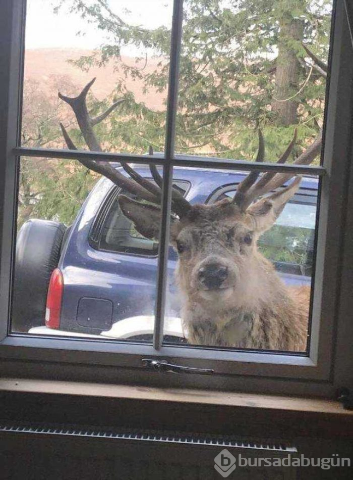 Günün en çok paylaşılan fotoğrafları (13.12.2018)