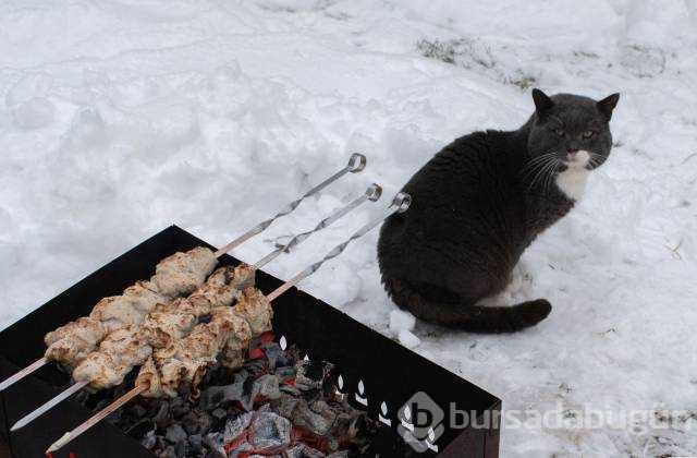 Günün en çok paylaşılan fotoğrafları (13.12.2018)
