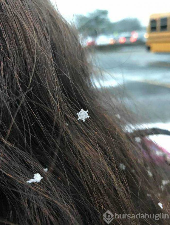 Günün en çok paylaşılan fotoğrafları (13.12.2018)