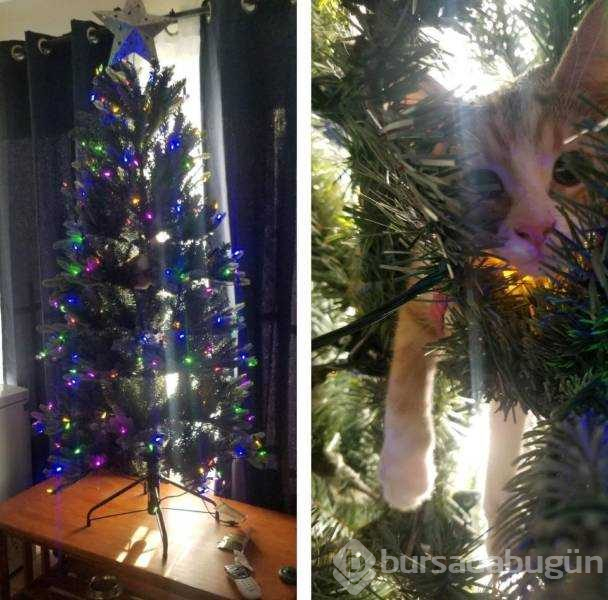 Günün en çok paylaşılan fotoğrafları (13.12.2018)