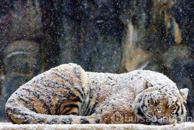 Günün en çok paylaşılan fotoğrafları (13.12.2018)