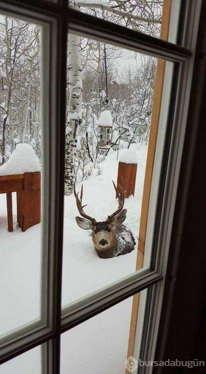 Günün en çok paylaşılan fotoğrafları (13.12.2018)