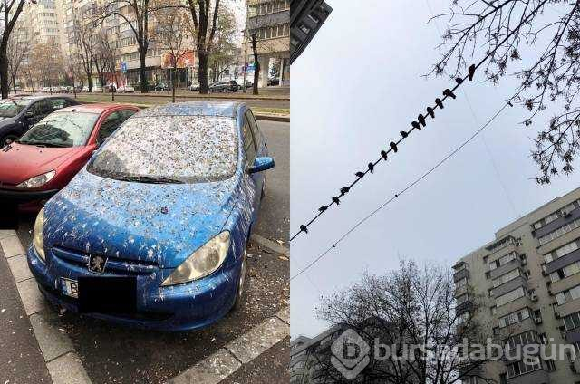 Günün en çok paylaşılan fotoğrafları (13.12.2018)