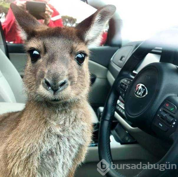 Günün en çok paylaşılan fotoğrafları (13.12.2018)