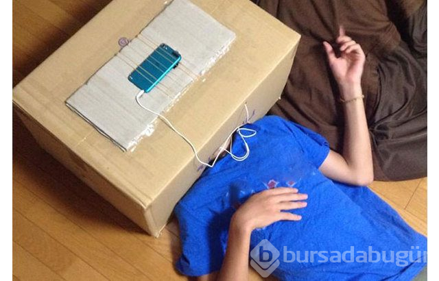 Dünyanın en 'profesyonel' üşengeçleri...
