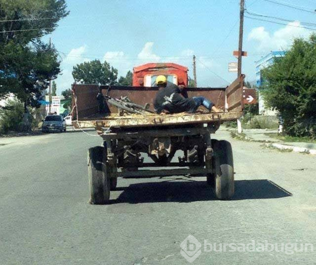 Dünyanın en 'profesyonel' üşengeçleri...

