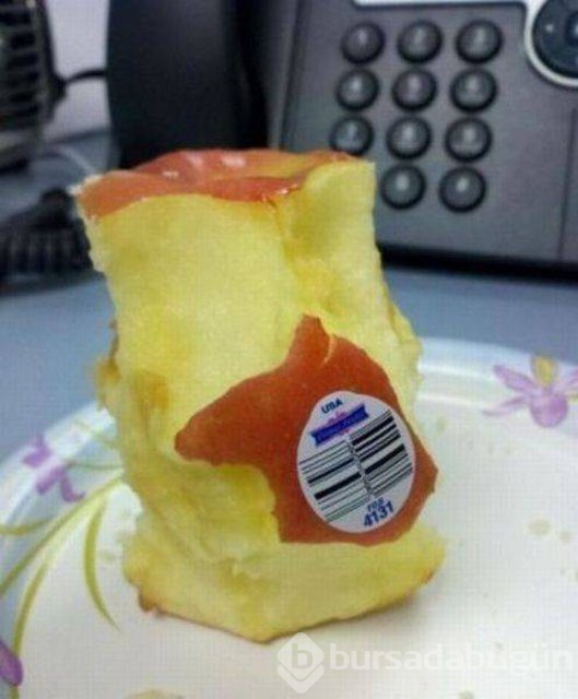 Dünyanın en 'profesyonel' üşengeçleri...
