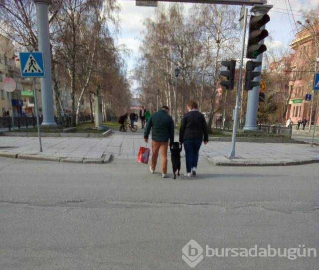 Günün en çok paylaşılan fotoğrafları (14.12.2018)