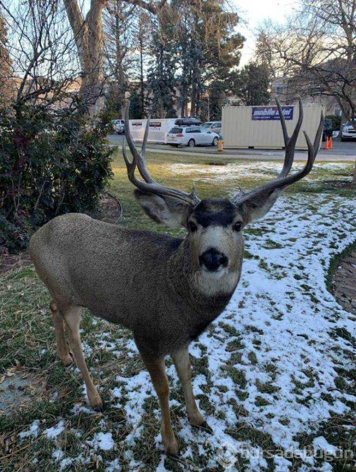 Günün en çok paylaşılan fotoğrafları (14.12.2018)