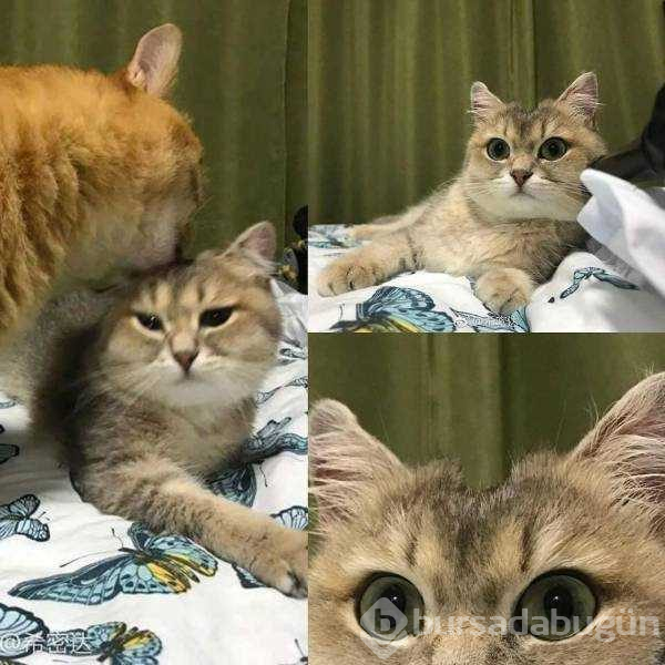 Günün en çok paylaşılan fotoğrafları (14.12.2018)
