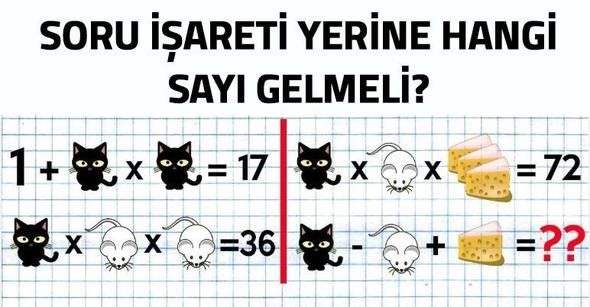 Sosyal medyayı kasıp kavuran zeka testi
