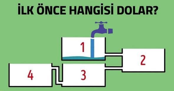 Sosyal medyayı kasıp kavuran zeka testi
