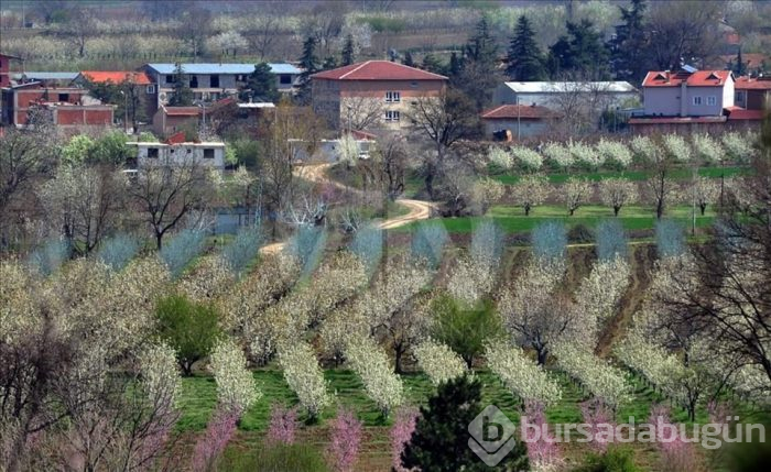 İşte 2018'in en sağlıklı kentleri (Listede Bursa kaçıncı sırada)