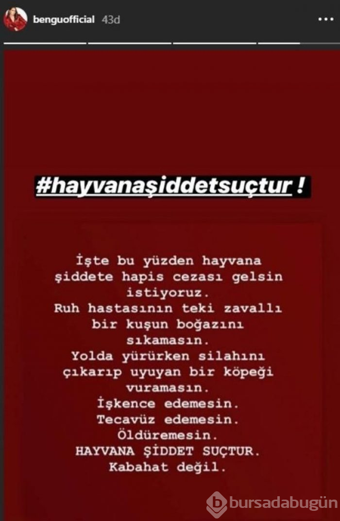 Papağana işkence videosu yayımlayan Murat Özdemir'e tepki yağdı