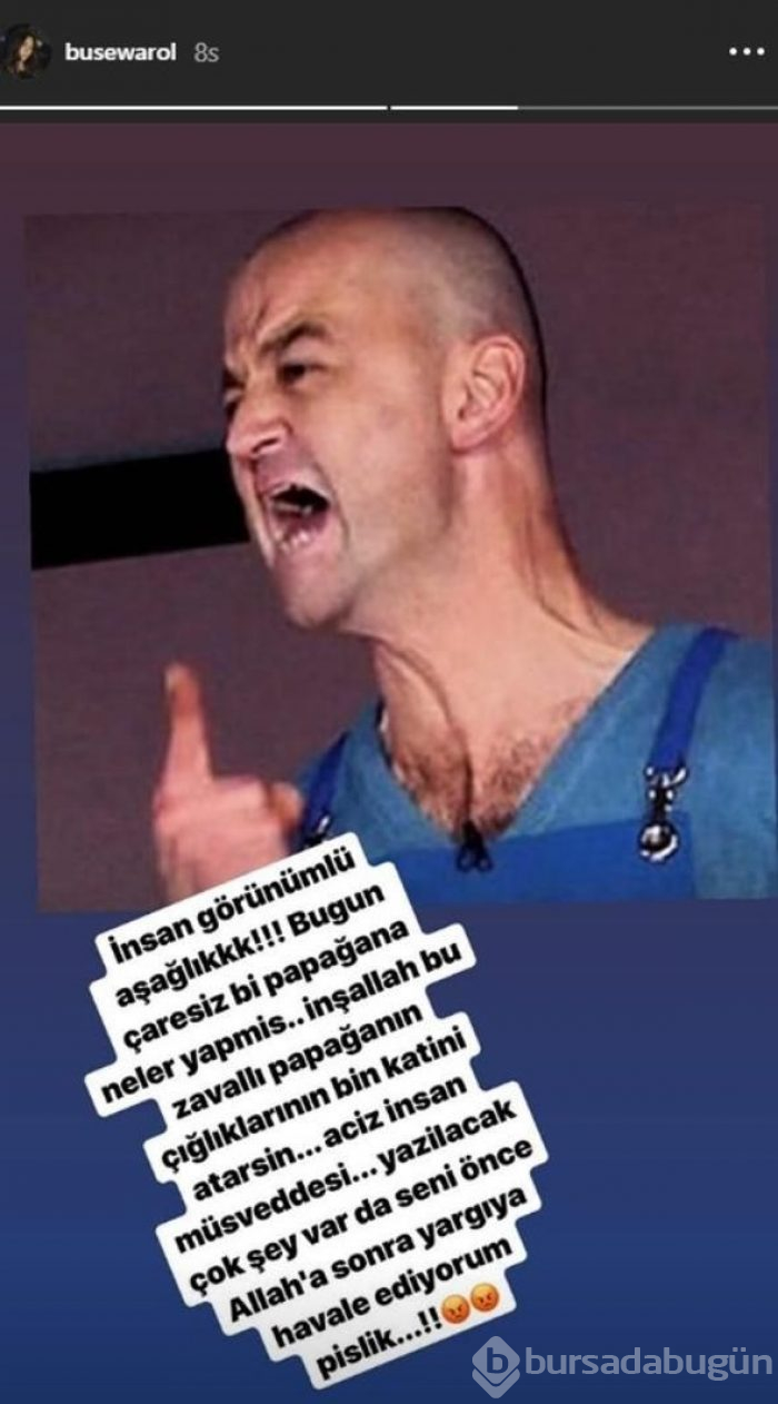 Papağana işkence videosu yayımlayan Murat Özdemir'e tepki yağdı