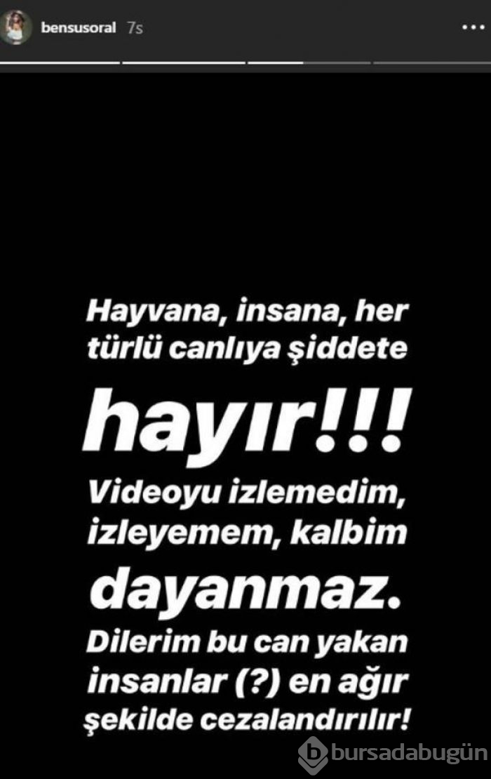 Papağana işkence videosu yayımlayan Murat Özdemir'e tepki yağdı