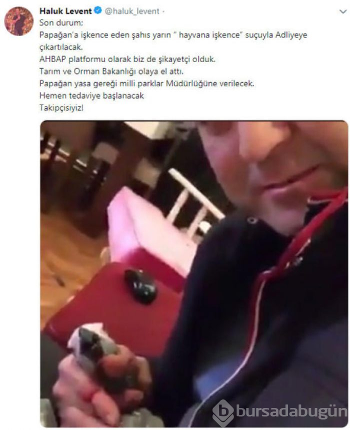 Ömür Gedik: Acun da tehlike altında...
