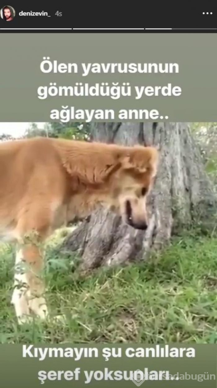 Ömür Gedik: Acun da tehlike altında...
