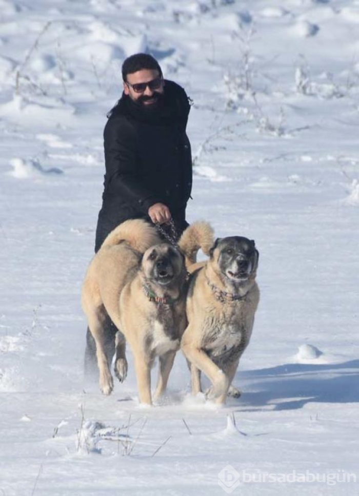 Yazın ölüyor kışın yeniden doğuyor
