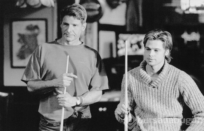 55. yaşına özel 55 fotoğrafla Brad Pitt