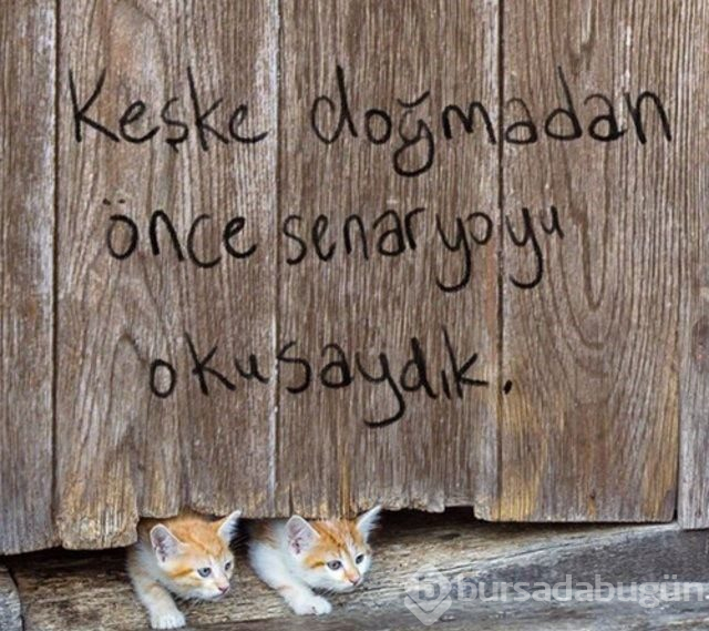 Çukur'da ekrana yansıyan duvar yazıları