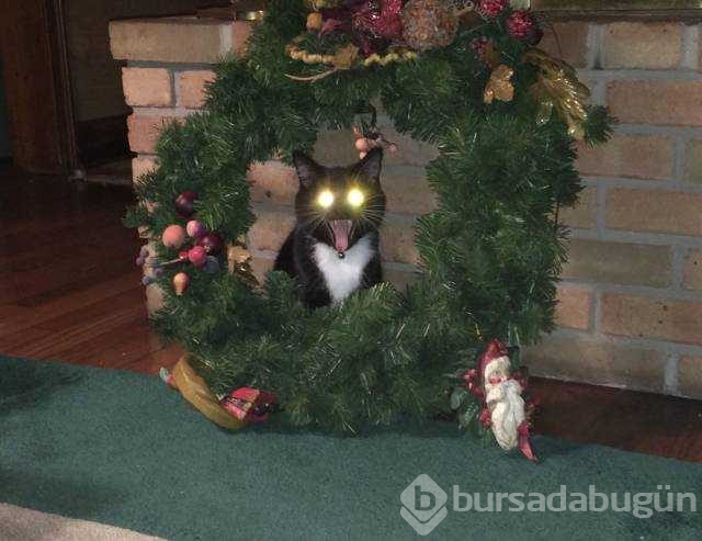 Günün en çok paylaşılan fotoğrafları (19.12.2018)
