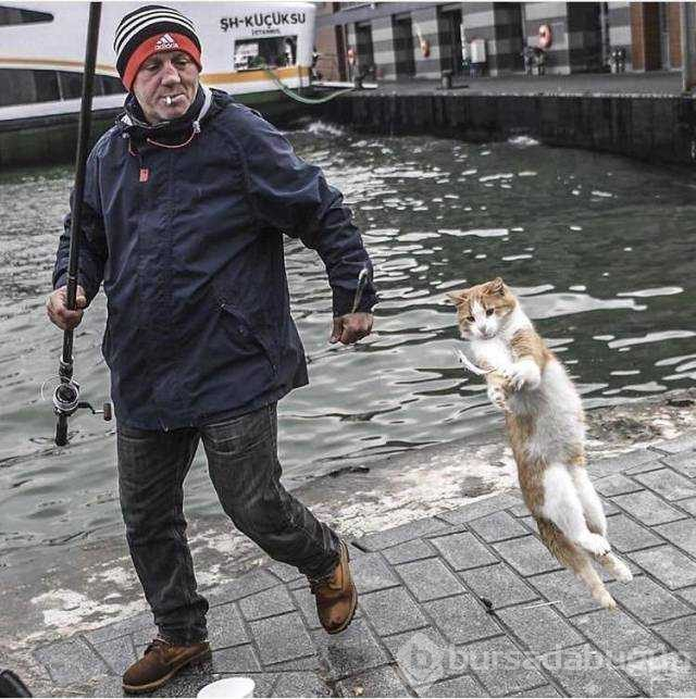 Günün en çok paylaşılan fotoğrafları (19.12.2018)

