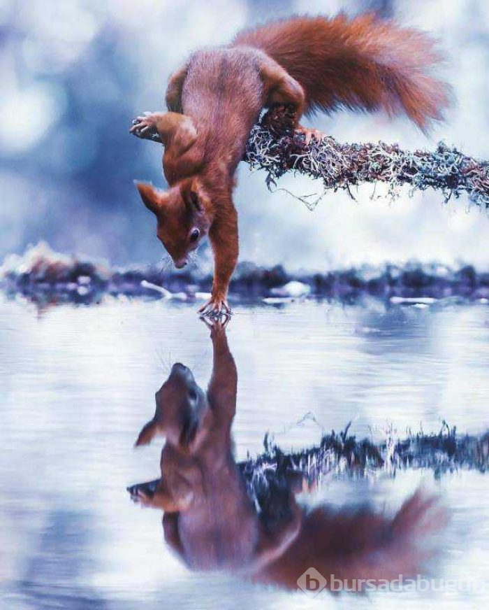 Günün en çok paylaşılan fotoğrafları (19.12.2018)
