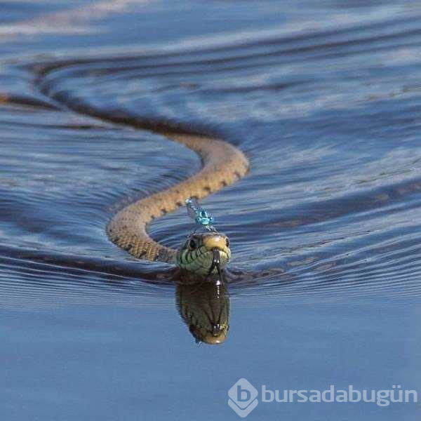 Günün en çok paylaşılan fotoğrafları (19.12.2018)
