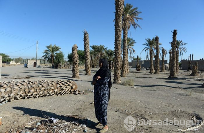 İran'da kuraklık hurma bahçelerini de vurdu