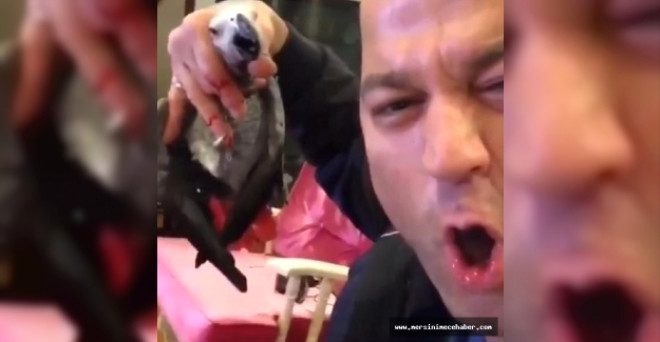 Papağana işkence videosuyla ortalığı ayağa kaldıran Masterchef Murat'ın olayları
