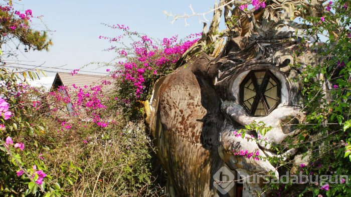 Vietnam'ın En İlginç Evi: Hang Nga Villa
