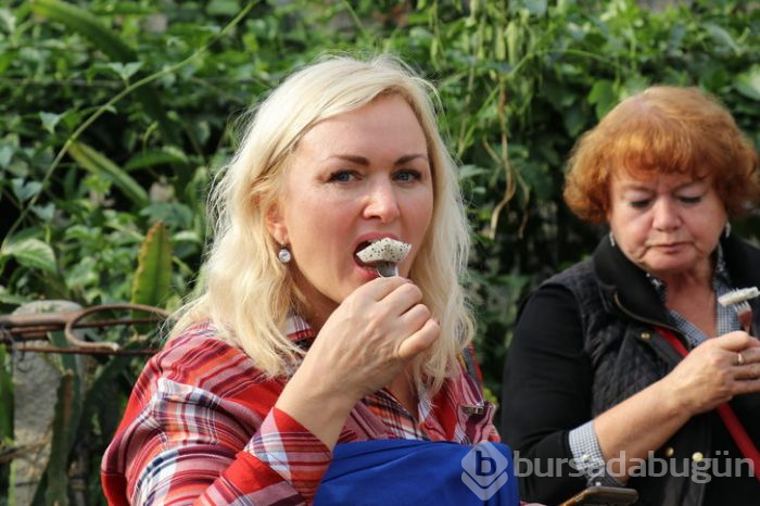 Pitaya bahçesi servet kazandırıyor
