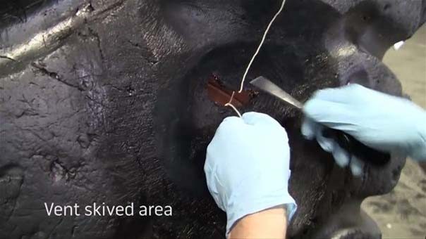 Gaz ve frene aynı anda basarsanız arabanıza ne olur?
