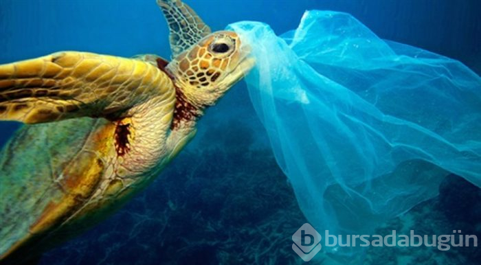 Tek kullanımlık plastik ürünler yasaklanıyor!
