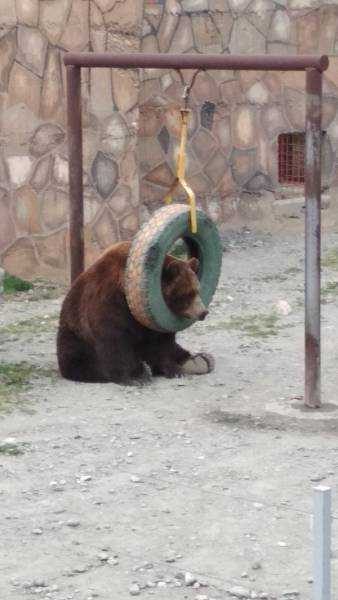 Günün en çok paylaşılan fotoğrafları (20.12.2018)