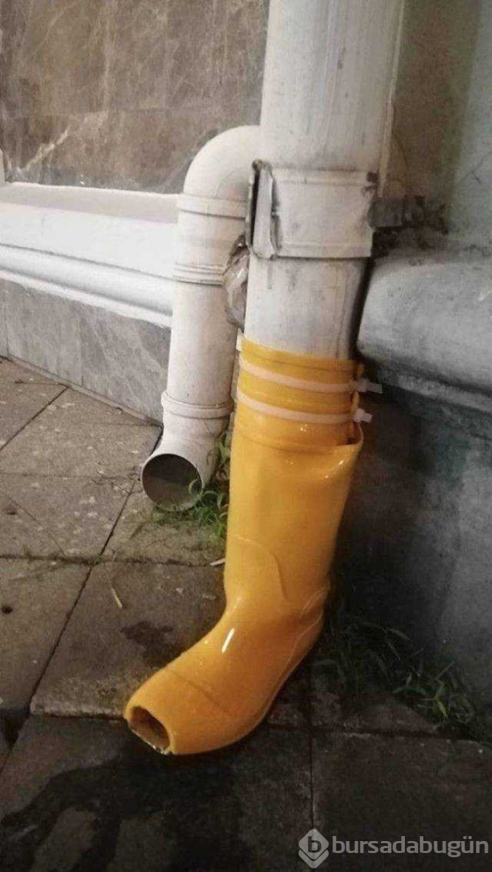 Günün en çok paylaşılan fotoğrafları (20.12.2018)