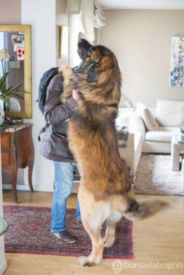 Günün en çok paylaşılan fotoğrafları (20.12.2018)