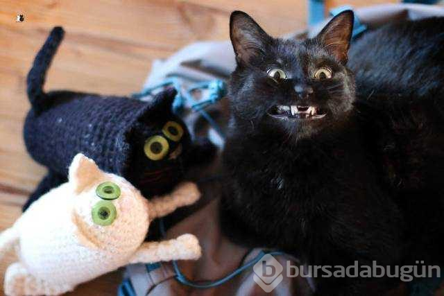 Günün en çok paylaşılan fotoğrafları (20.12.2018)