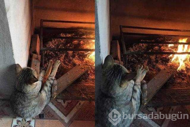 Günün en çok paylaşılan fotoğrafları (20.12.2018)