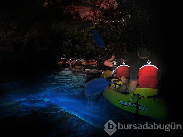 Dünyanın en havalı mekanları açıklandı! Listeye İstanbul'dan bir yer de girdi
