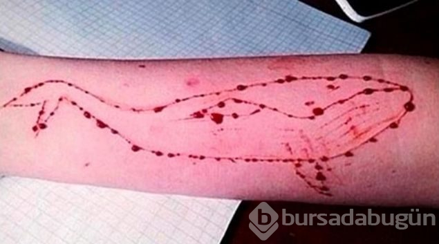 'Şeytani' Mavi Balina oyunu nedir?
