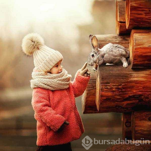 Günün en çok paylaşılan fotoğrafları (21.12.2018)
