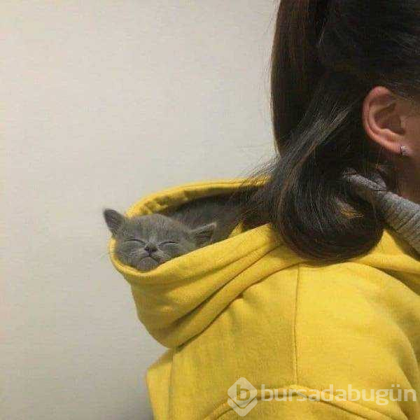 Günün en çok paylaşılan fotoğrafları (21.12.2018)