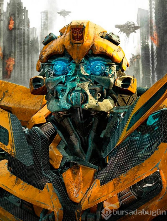 Bumblebee
