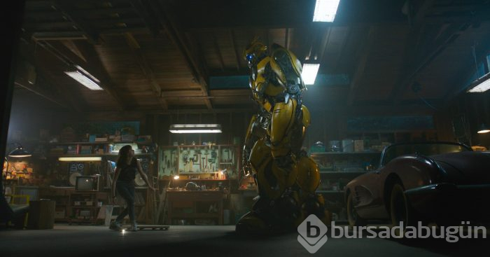 Bumblebee
