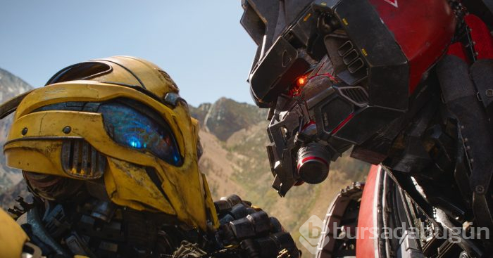 Bumblebee

