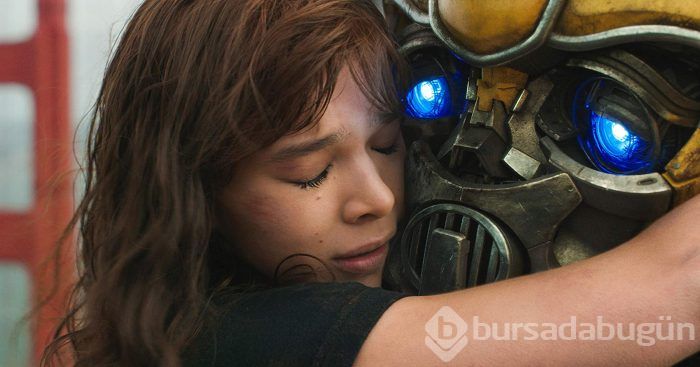 Bumblebee

