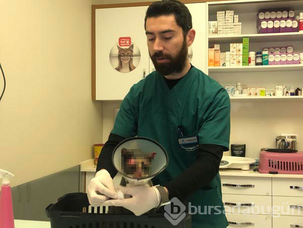 Vahşet! Bu halde buldu
